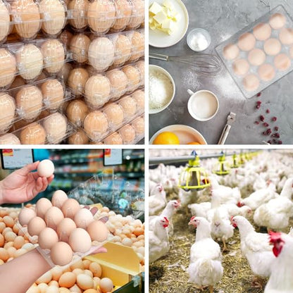 120 Pack Bulk Egg Cartons, Clear Plastic Chicken Egg Holders, Egg Tray Carton Holder for Home & Kitchen, Farm & Market Use, An Eco-Friendly Egg Storage Solution, 12 Grids - size: 120 Pack Egg Cartons 12 Grids 3x4
