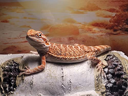 Artificial Birch Log Hide Medium Reptile Shelter Sleeping Cave 6.8 x 4.5 x 3 in Wood Shape Gecko Hideout Basking Platform Terrarium Landscaping Ornament (M) - size: M