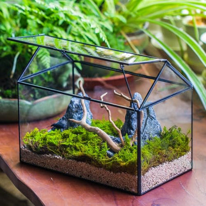 NCYP Glass Terrarium with Acrylic Lid, 10.2x5.9x8.2 Inches House Shape Glass Terrarium for Snails, Indoor Tabletop Decor, Handmade (Plants Not Included)