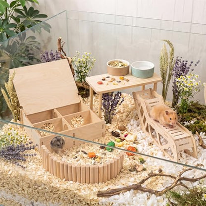 BreezeHug 4 Pcs Hamster Cage Accessories Hamster Platform Hideout Wooden Tunnel Ladder Playhouse Game Climbing Toy with Platform for Pets Dwarf Syrian Mice Degus Gerbils Squirrel(Enclosure) - style: Enclosure