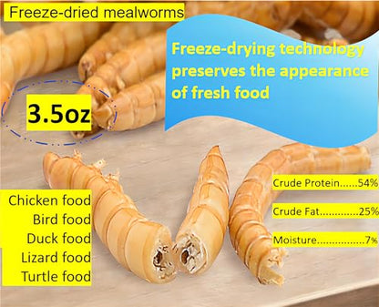 Classic Flock 3.5oz Freeze-Dried Mealworms, High Protein Treat for Birds | Zero-additive pet food, freeze-dried retains nutrition, sealed canister, ideal for chickens, reptiles