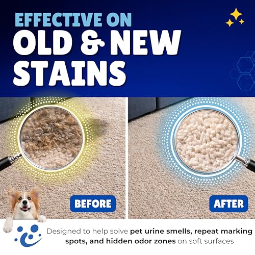 Oh Yuk Probiotic Pet Odor Eliminator & Stain Remover, Dog & Cat Urine | Breaks Down Urine, Poop & Vomit at the Source, Removes Stains & Odor, Fresh Ginger Lime Scent, Carpet Safe, 27 oz