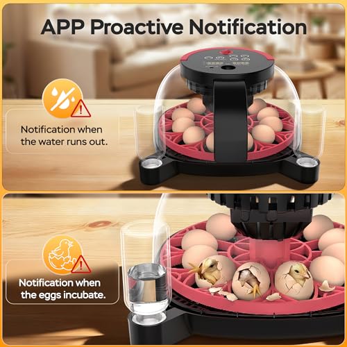 Full Automatic 12 Egg Incubator with APP Control & Video Record, Automatic Egg Turning, Temp & Humidity Control, for Beginner & Study & Small Farm, Ideal for Parrot Quail Chicken Hatching