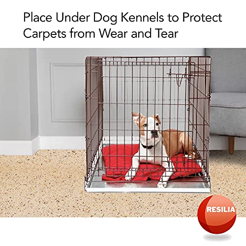 RESILIA Under Pet Cage Mat for Bird Cages, Reptile Aquariums, Dog Kennels, Water-Resistant Pad for Carpeted Floors and Surfaces, 30 Inches x 48 Inches, Clear - color: Clear