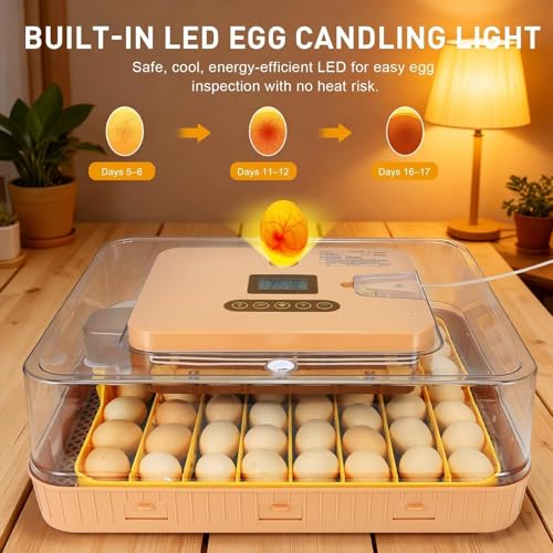 ZEMIRO CHARGE Automatic 56-Egg Incubator for Breeders, Sensor-Based Precise Humidity+Temp Control, Chick Separator, Adjustable Egg Spacing, Custom-Interval Auto Turn+Auto Stop,Preset Incubation Days - size: 56 egg-brown
