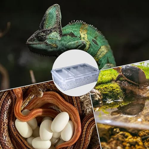 Reptile Breeding Hatching Box, PP Transparent Container with Clear Cover, Anti-Slip Incubator Box for Turtle, Gecko, Snake Egg Hatching