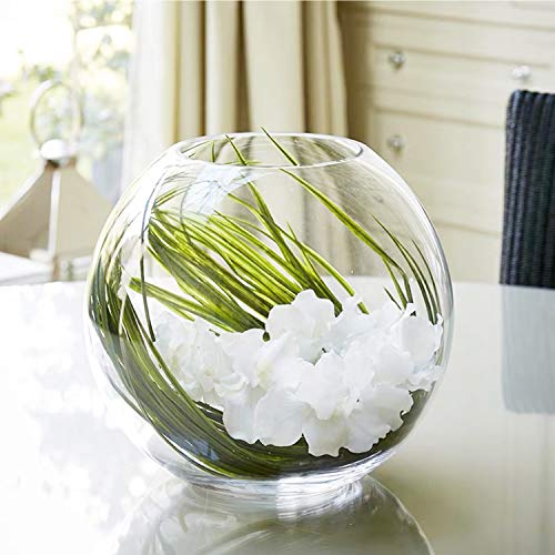 WGV Bowl Glass Vase Bulk, Diameter 6", Height 5", Open Width 4", (Multiple Sizes Choices) Clear Bubble Planter Terrarium Fish Bowl for Wedding Event Home Decor, 12 Pieces (VBW0006) - size: 6"Dx5"H 1 Case