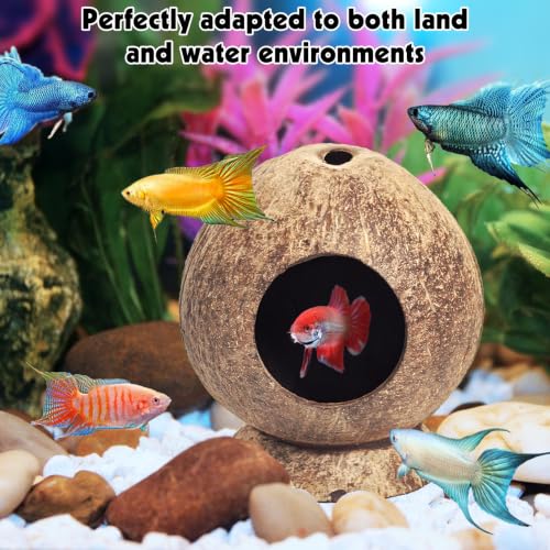 PINVNBY 2 Pcs Natural Coconut Shell Reptile Hide Crested Gecko Tank Accessories for Small Lizard Leopard Gecko Spider Snail Hermit Crab Hideout - size: High-Crowned Style, 2PCS