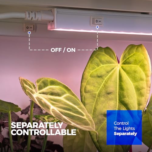 Barrina T5 Plant Lights, 5W LED Grow Light Strip, 1FT White Cover, 8 Packs | Linkable Plant Growing Lamp for House Plants, Under Cabinet Grow Lamp with 3 Mounting Modes, Pinkish White, Separate On/Off - color: Pinkish White, size: 1ft-white Cover