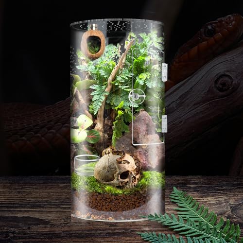Cryfokt Tall Arboreal Tarantula Enclosure, Acrylic Jumping Spider Enclosure with Front Opening Door for Reptiles Lizards Snails, 6 x 6 x 12in Terrarium with Latch 360 Visibility