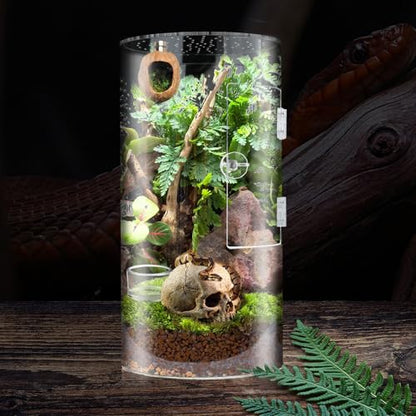 Cryfokt Tall Arboreal Tarantula Enclosure, Acrylic Jumping Spider Enclosure with Front Opening Door for Reptiles Lizards Snails, 6 x 6 x 12in Terrarium with Latch 360 Visibility