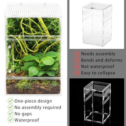 Jumping Spider Enclosure Kit, Waterproof Clear Acrylic Spider Terrarium, Front Opening + Top Access, Ventilated Insect Habitat with Moss Vine, Green Plant, 2 Moss Packs & Invisible Line (6-Piece Set)