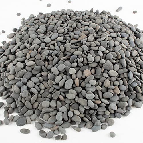 CJGQ Black River Rocks - 7lb Small Mexican Beach Pebbles for Succulents, Aquarium, Garden & Vase Decor - color: Black-Medium, size: 7lb