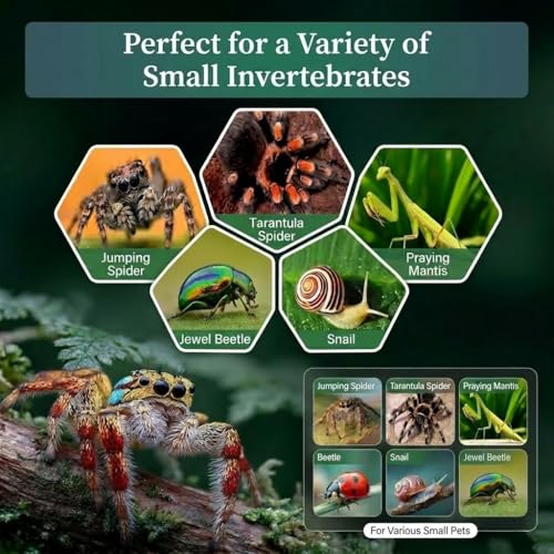 Jumping Spider Enclosure Kit, Clear Acrylic Terrarium Tank with Accessories, Vertical Reptile Habitat for Tarantula Mantis Bug Snail Hide, Anti-Escape Micro-Vent Front Opening Arboreal Starter Gift