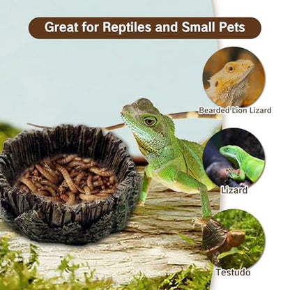 1 Pack Small Reptile Food Dish Resin Rock Worm Water Bowl for Bearded Dragon Leopard Gecko Lizard Hermit Crab Snail Frog Toad Anti Turnover Feeding Accessories Set