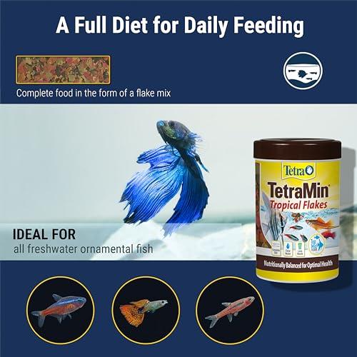 TetraMin Tropical Flakes Fish Food, 7.06 oz | Complete Daily Diet For Top-And-Mid Feeding Tropical Fish, Protein For Growth & Prebiotics for Digestion, Clear Water Formula - size: 7.06 Ounce (Pack of 1)