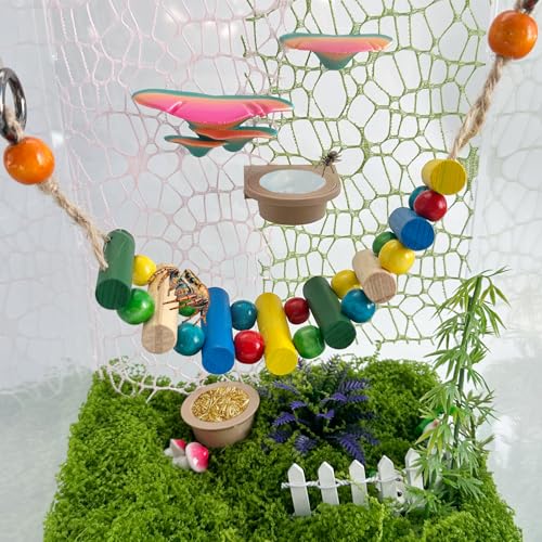 2 PCS Jumping Spider Feeding Dish (1 Detachable with Magnet and 1 for Replacement), Tiny Food Dishes Water Dish for Spider, Tarantula and Other Small Pets Jumping Spider Accessories