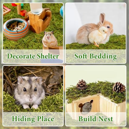 Halatool 25QT Hamster Moss for Bedding Nesting Hideout, Soft & Safe, 1.1LB | Odor Control, Forest Moss for Rabbits Squirrels Guinea Pigs, Small Animals Cages, Terrariums, Reptiles, Plants - size: 1.1lb/25qt