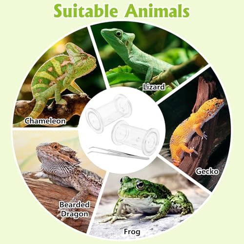 Tfwadmx 2 Pack Transparent Bearded Dragon Enrichment Toys, Reptile Feeding Accessories with Tweezers for Leopard Gecko Crested Gecko Small Reptiles