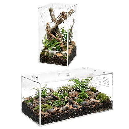 Jumping Spider Enclosure Set, Terrestrial Arboreal Combo, Acrylic Tarantula Terrarium, Praying Mantis Habitat, No Assembly, 2-Size Kit, Large - size: Large