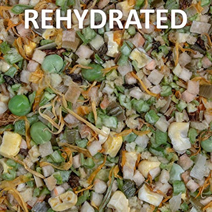 Healthy Herp Veggie Mix Instant Meal for Reptiles - Nutritious Bearded Dragon Accessories, Bearded Dragon Food - Made in USA - Quick Prep, Ideal for Box Turtles, Lizards, Tortoises - 7.5 oz (212g)
