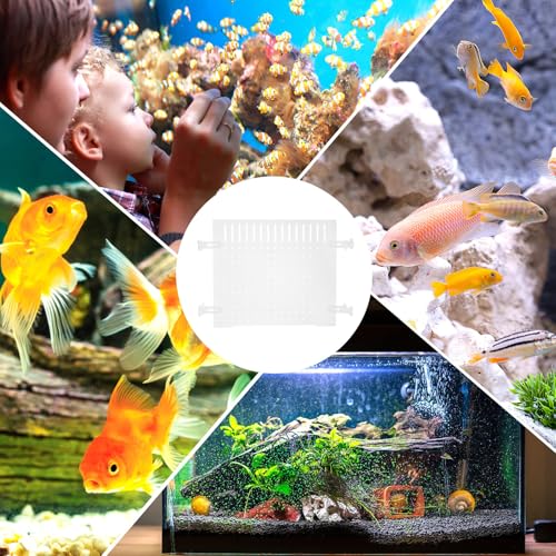 NUOBESTY Clear Acrylic Fish Tank Divider with Smooth Edges for Safe Fish Separation Flexible Transparent Aquarium Partition Board for Shrimp and Reptile Isolation Easy Installation Aquarium