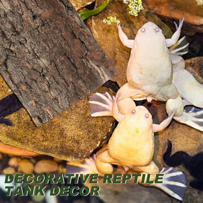 Kisangel Cork Bark Aquarium Decor 4Pcs Terrarium Bark Background Natural Reptile Tank Accessory Reusable Cuttable Cork for Fish Tank Background for Aquarium