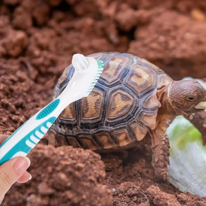 SUPVOX 2pcs Double-Sided Turtle Shell Cleaning Brush for Aquatic Turtles and Tortoises, Portable Mini Household Mud Remover Scrub Tool for Reptile Tank Maintenance