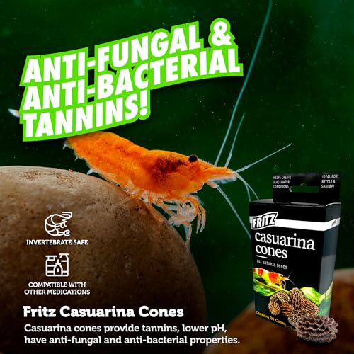 Fritz Aquatics Betta Botanicals for Betta and Community Fish Aquariums (Casuarina Cones - 20ct)