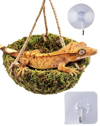 Handmade Crested Gecko Tank Decor – Hanging Shelter for Bearded Dragon Accessories, Reptile Hammock, Hermit Crab, Snake and Other Small Reptiles