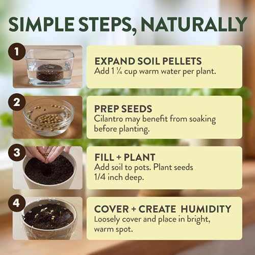 HOME GROWN Indoor Organic Herb Garden Kit, Unique Valentines Day Gift for Adults, Men, & Women,Grow 4 Herb Seeds for Kitchen Window Garden,Beginner DIY Hobby Gardening for Plant Lovers, Mom & Dad - style: Starter Organic Grow Herb Kit