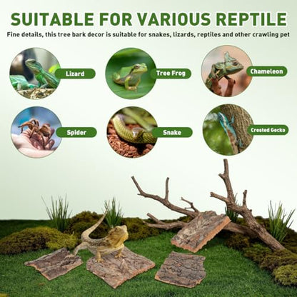 Baluue 4 Pack Reptile Cork Bark, Natural Reptile Bark Bedding for Terrarium Substrate Tank Supplies Decor for Gecko, Lizard, Tortoise, Frog, Spiders, Hermit Crabs
