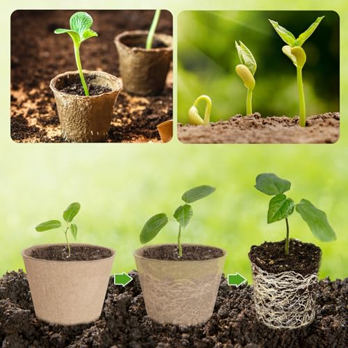 132 Pack Organic Peat Pots, 4 Inch Nursery Pots, Round Plant Seedling Pots | Small Seed Starting Starter Tray with Drainage Holes, Cheap Bulk Garden Germination Container with 132 Plant Labels (10 cm) - size: 4 Inch 132 Pcs