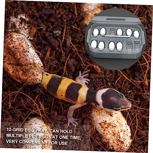 Reptile Incubation Box Transparent Hatchery for Lizard Eggs Design Easy to Clean Lightweight and Compact for Reptile Breeding and Hatching