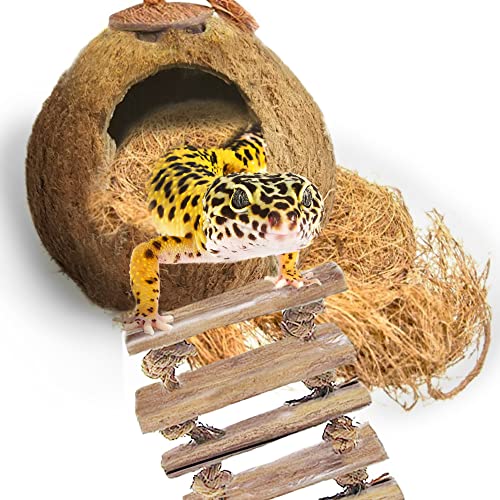 SunGrow Leopard Gecko Coconut Husk Hut with Ladder and Coco Fiber Bedding, with Shell Opening, 2.5” Opening Diameter, Cave Habitat with Hanging Loop, 1.5 oz Fiber Bedding