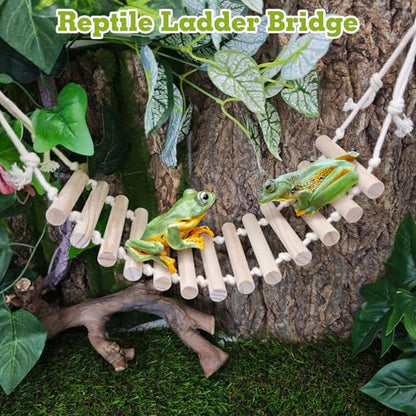 VCEPJH Loose Coconut Fiber Substrate 2 Pack Natural Coco Coir Reptile Bedding and 2 Pcs Reptile Bridge Leopard Gecko Climbing Ladder Wooden Basking for Crested Gecko Bearded Dragon Hermit Crab