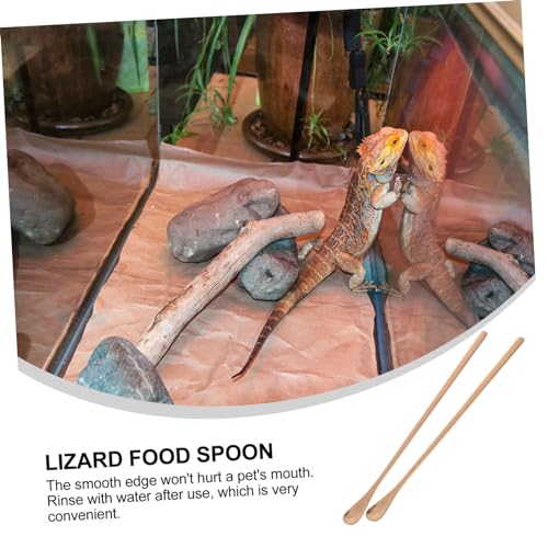 SUPVOX 2pcs Handle Pet Food Spoon Reptile Feeding Tool for Lizard and Small Animals Convenient and Easy to Use Rose Gold Design - color: Rose Gold