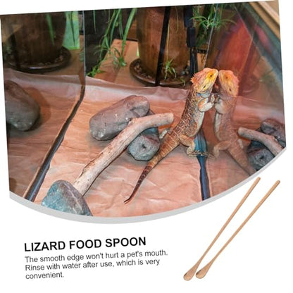 SUPVOX 2pcs Handle Pet Food Spoon Reptile Feeding Tool for Lizard and Small Animals Convenient and Easy to Use Rose Gold Design - color: Rose Gold