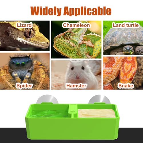 DONGKER Reptile Feeding Ledge,Square Dual-Compartment Reptile Water Food Bowl with 2 Suction Cup for Bearded Dragon Lizard Turtle Tortoise - size: L 5.5"x3.3"x1.4"