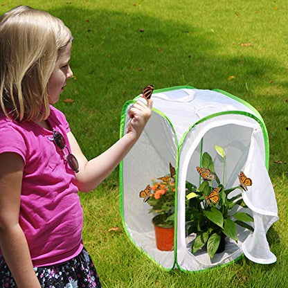 RESTCLOUD Insect and Butterfly Habitat Cage Terrarium Pop-up 23.6 Inches Tall - color: White With Green, size: 15.7 x 15.7 x 23.6 inches