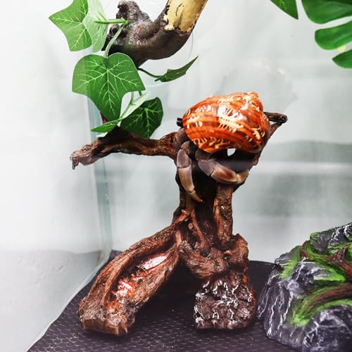 Hermit Crab Climbing Toy, Aquarium Betta Fish Hideout Caves, Resin Tree Trunk Ornament, Tank or Aquarium Decorations, Climbing and Hide Toy for Reptile Lizard Newt Hermit Crab