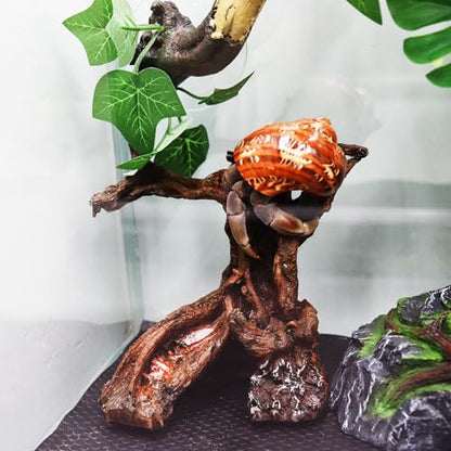 Hermit Crab Climbing Toy, Aquarium Betta Fish Hideout Caves, Resin Tree Trunk Ornament, Tank or Aquarium Decorations, Climbing and Hide Toy for Reptile Lizard Newt Hermit Crab
