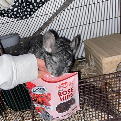 Dried Rose Hips (8 oz.) - Healthy Natural Treat - Chinchillas, Guinea Pigs, Rabbits, Prairie Dogs, Degus, Hamsters, Rats, Squirrels, Parrots, Chickens, Ducks & Other Small Pets (8 Ounce (Pack of 1)) - size: 8 Ounce (Pack of 1)