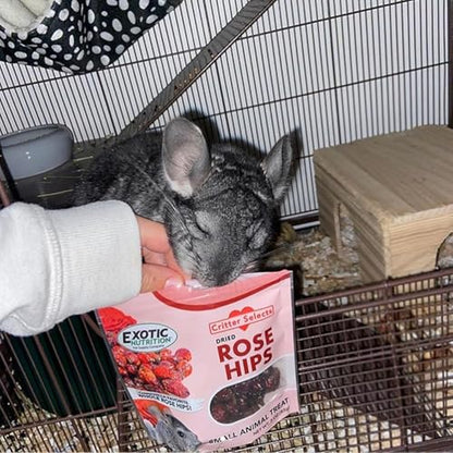 Dried Rose Hips (8 oz.) - Healthy Natural Treat - Chinchillas, Guinea Pigs, Rabbits, Prairie Dogs, Degus, Hamsters, Rats, Squirrels, Parrots, Chickens, Ducks & Other Small Pets (8 Ounce (Pack of 1)) - size: 8 Ounce (Pack of 1)