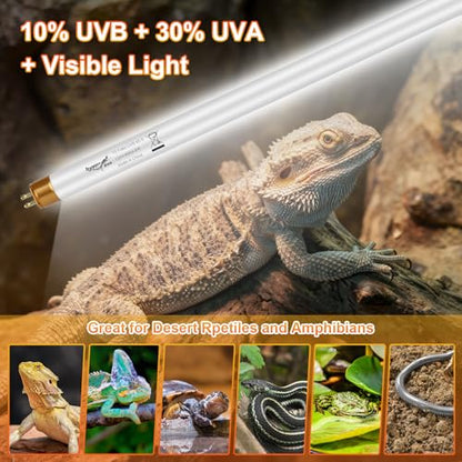 UVB Light for Reptiles Bearded Dragon, 3 Pack T5 UVB Reptile Light UVB Bulb 10.0 8W UVA UVB Reptile Light Bulb Terrarium Light Lamp Tube for Turtle Chameleon Leopard Gecko Snake Tank, 12 Inch - size: T5-12 Inch(3 Pack)