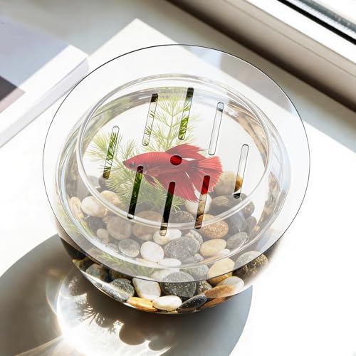 Fish Tank Lid: 22cm/8.66" Round Aquarium Lid Cover with Hole - Transparent Acrylic Tank Protective Cover for Fish Bowl Terrarium - size: 22.00X22.00X0.30CM