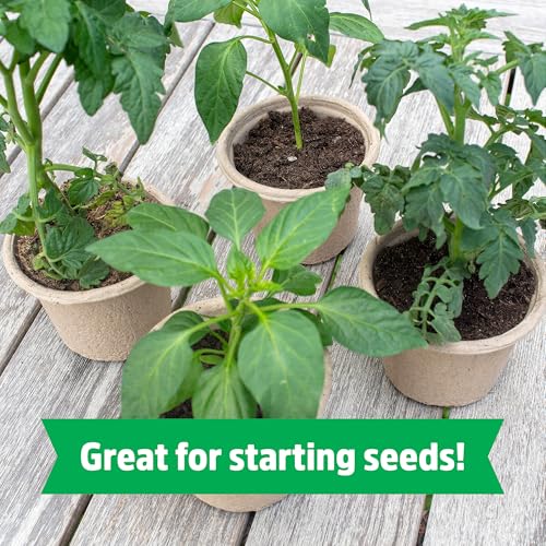 Back to The Roots Organic Seed Starting, Compressed Block expands to 12 Quarts, Made for Herbs, Veggies, Flowers - size: 12 Quart, style: Seed Starting Mix
