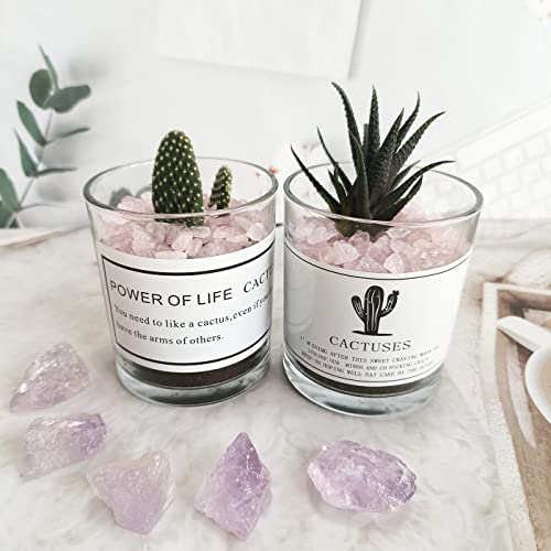 ZHIYUXI Rose Quartz Crystal Chips Fish Tank Gravel Vase Filler Stones Crushed Crystals Gemstone Polished Healing Crystals Natural Quartz Stone 0.44lbs - color: D# Rose Quartz, size: 0.44 Pound