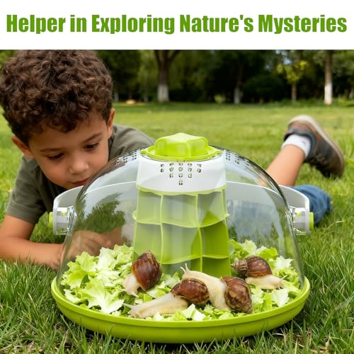 Snail Terrarium Kit Insect Enclosure Bug Terrarium Observation Container Praying Mantis Habitat Breeding Box Micro Habitat Starter Kit for Beetles Spider Small Reptile