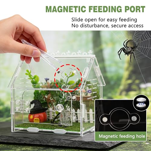 Acrylic Jumping Spider Enclosure Magnetic Lock Terrarium | Clear Acrylic Viewing, Dual Vents, Sloped Roof, 5.9x3.9x5.1", Tool-Free Assembly